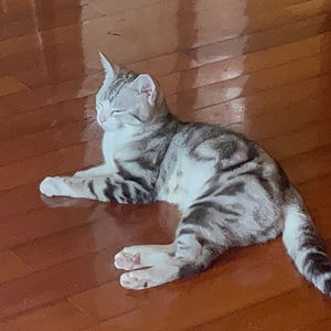 Meet your Posher, Yang